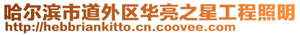 哈爾濱市道外區華亮之星工程照明