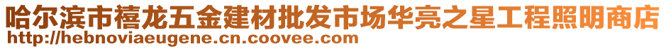 哈爾濱市禧龍五金建材批發(fā)市場華亮之星工程照明商店