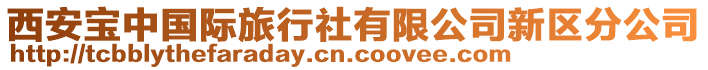 西安寶中國際旅行社有限公司新區(qū)分公司