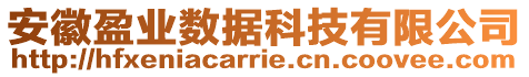 安徽盈業數據科技有限公司