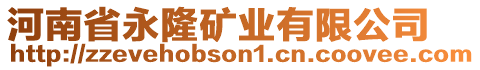 河南省永隆礦業有限公司