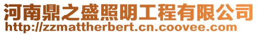 河南鼎之盛照明工程有限公司