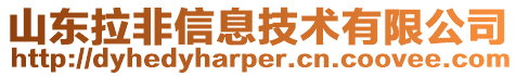 山東拉非信息技術有限公司