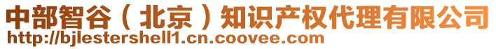 中部智谷(北京)知識(shí)產(chǎn)權(quán)代理有限公司