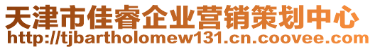 天津市佳睿企業營銷策劃中心