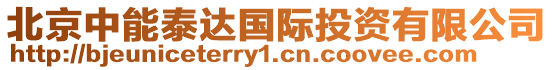 北京中能泰達(dá)國際投資有限公司
