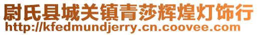 尉氏縣城關(guān)鎮(zhèn)青莎輝煌燈飾行