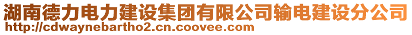 湖南德力電力建設集團有限公司輸電建設分公司