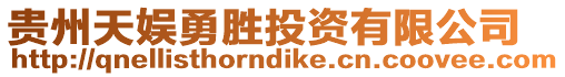 貴州天娛勇勝投資有限公司