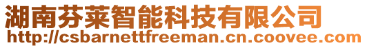 湖南芬萊智能科技有限公司