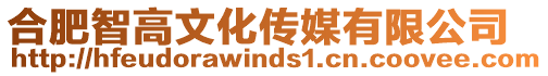 合肥智高文化傳媒有限公司