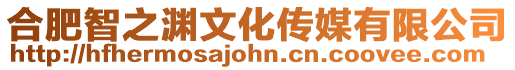 合肥智之淵文化傳媒有限公司