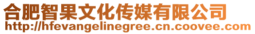 合肥智果文化傳媒有限公司