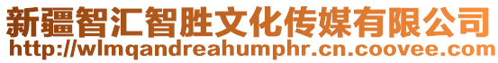 新疆智匯智勝文化傳媒有限公司
