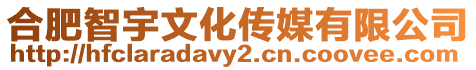合肥智宇文化傳媒有限公司