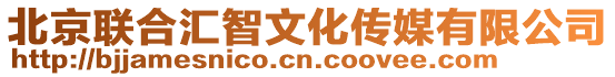 北京聯(lián)合匯智文化傳媒有限公司