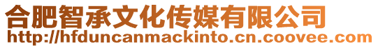 合肥智承文化傳媒有限公司