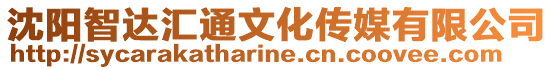 沈陽智達匯通文化傳媒有限公司