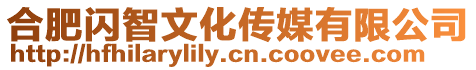 合肥閃智文化傳媒有限公司