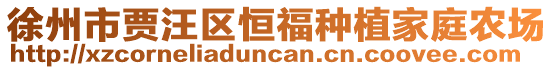 徐州市賈汪區恒福種植家庭農場