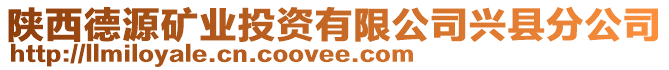 陜西德源礦業(yè)投資有限公司興縣分公司