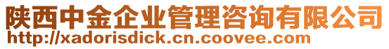 陜西中金企業(yè)管理咨詢有限公司