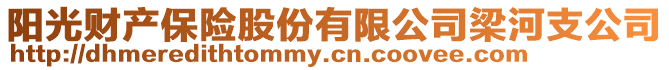 陽(yáng)光財(cái)產(chǎn)保險(xiǎn)股份有限公司梁河支公司