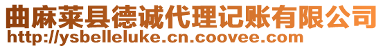 曲麻萊縣德誠代理記賬有限公司