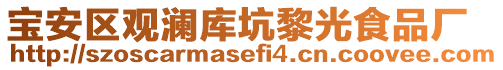 寶安區(qū)觀瀾庫坑黎光食品廠