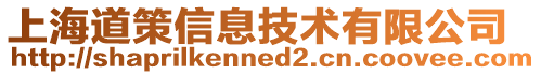 上海道策信息技術(shù)有限公司