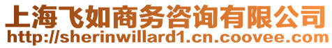 上海飛如商務(wù)咨詢有限公司