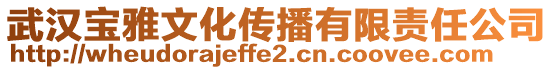 武漢寶雅文化傳播有限責(zé)任公司