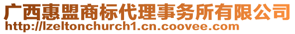 廣西惠盟商標(biāo)代理事務(wù)所有限公司