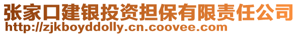 張家口建銀投資擔(dān)保有限責(zé)任公司