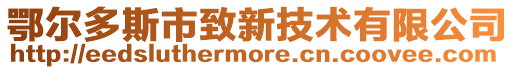 鄂爾多斯市致新技術有限公司