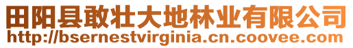 田陽(yáng)縣敢壯大地林業(yè)有限公司