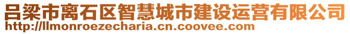 呂梁市離石區(qū)智慧城市建設(shè)運(yùn)營(yíng)有限公司