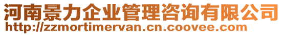 河南景力企業(yè)管理咨詢有限公司