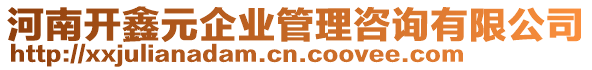 河南開鑫元企業(yè)管理咨詢有限公司