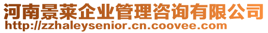 河南景萊企業(yè)管理咨詢有限公司