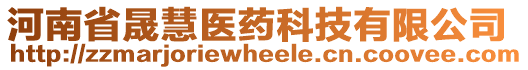 河南省晟慧醫(yī)藥科技有限公司