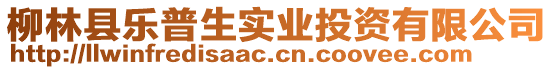 柳林縣樂普生實業(yè)投資有限公司