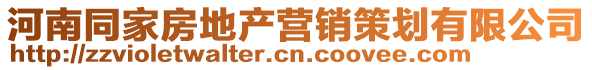 河南同家房地產營銷策劃有限公司