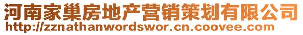 河南家巢房地產營銷策劃有限公司