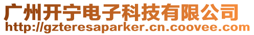 廣州開寧電子科技有限公司