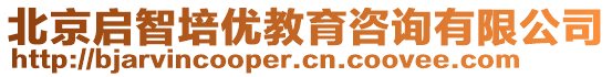 北京啟智培優(yōu)教育咨詢有限公司