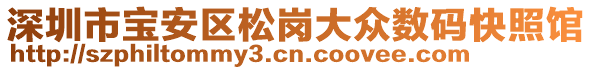 深圳市寶安區(qū)松崗大眾數(shù)碼快照館