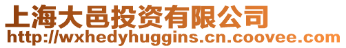 上海大邑投資有限公司
