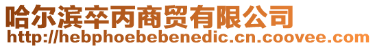 哈爾濱卒丙商貿有限公司