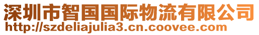 深圳市智國國際物流有限公司